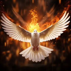 Flying dove of peace with fire