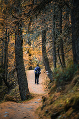 Fototapeta premium A photographer is taking pictures inside the beautiful forest near the Sils Lake, in Switzerland, during a moody autumnal day