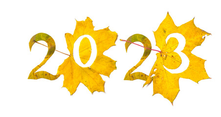 2023 numbers carved from yellow maple leaves