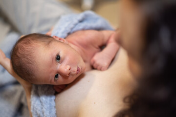 Adorable Newborn Baby Boy sitting on mother chest.
