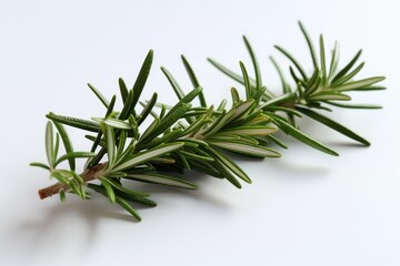 Fresh rosemary that is dry, clear, and on a white backdrop. rosemary, balsamic vinegar, and olive oil. accentuate the spice