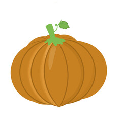 pumpkin isolated on white