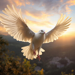 Fototapeta premium A flying dove of peace