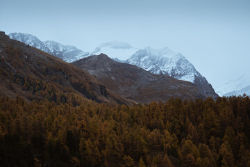 Blue Hour shot of the snow peaks of Mount Corvatsch, during a cloudy autumnal day, Swtizerland