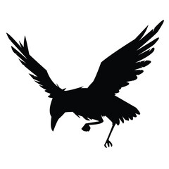 eagle in flight silhouette vector