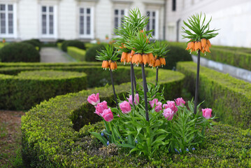Fototapeta na wymiar Garden with beautiful spring flowers