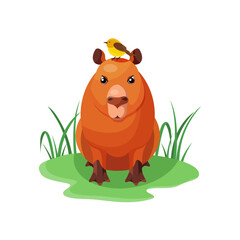 Obraz na płótnie Canvas Flat vector illustration of a capybara sitting on the grass with a bird on its head isolated on white background 