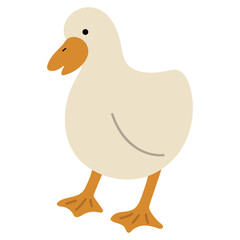 Duck White Single 31 PNG