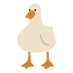 Duck White Single 17 PNG