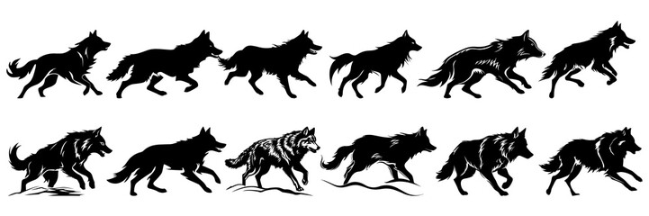 Fototapeta na wymiar Wolf silhouettes set, large pack of vector silhouette design, isolated white background.