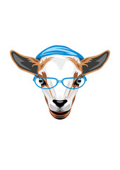 Smart young goat in blue hat and eyeglasses