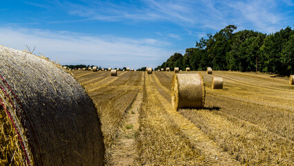 malerisches abgeerntetes Feld in Mecklenburg