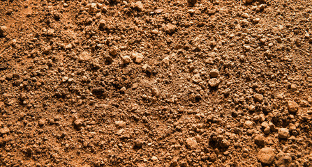 Fototapeta Natural background. Light soil close up obraz