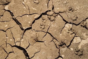 Dry Cracked Soil Texture Background