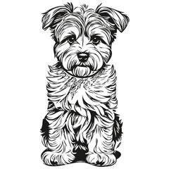 Dandie Dinmont Terriers dog black drawing vector, isolated face painting sketch line illustration realistic breed pet