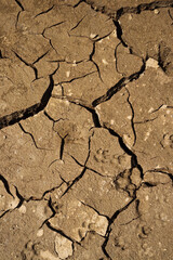 Dry Cracked Soil Texture Background