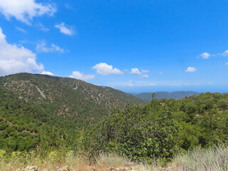 Fototapeta na wymiar Beautiful panoramic view of the mountains and the forest of Cyprus in summer.