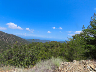Beautiful panoramic view of the mountains and the forest of Cyprus in summer.