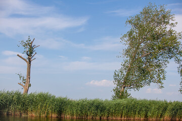 Obraz premium Netherlands, Holland, Amsterdam, Rokin, Zaanse, Schans, Monnickendam, Muiden, Muiderslot, Rotterdam, Jiburg, Hoorn, kasteel De Haar, fort Uitermeer, Naarden, Zunderdorp, Begijnhof, Zeedijk, travel