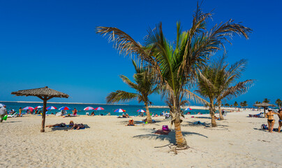 Beautiful Beach with palm tree