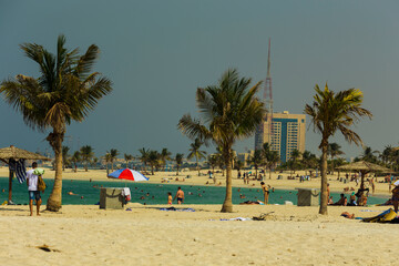 Beautiful Beach with palm tree