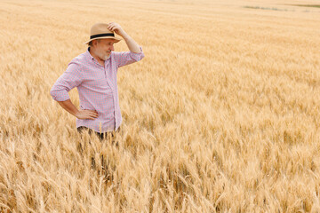 Naklejka na ściany i meble Satisfied farmer in a hat looking away at his thriving crop in the golden sunset