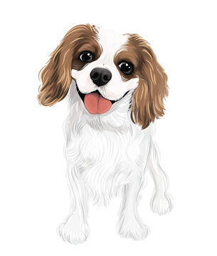 recommend clip art: cavalier king charles spaniel puppy