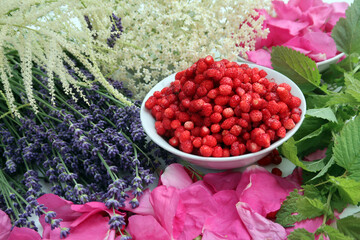 Sommerernte aus Wald und Garten - summer harvest from forest and garden