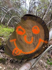 Smiley on a felled tree
