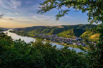 Fototapeta na wymiar View from a hilt top with green leaves in foreground as the sun set on Leutesdorf, a small wine village with vineyards on the hills surrounding it. 