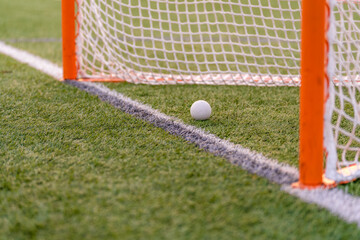 Dramatic late afternoon photo of a lacrosse goal on a synthetic turf field.	