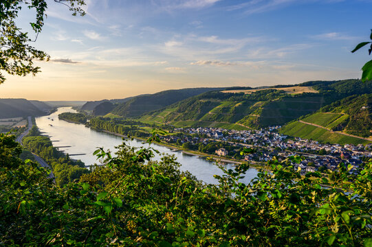 View from a hilt top with green leaves in foreground as the sun set on Leutesdorf, a small wine village with vineyards on the hills surrounding it. Space for copy.