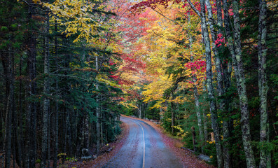Autumn  colors in Acadia National Park - Echo Lake Beach Road - Maine
