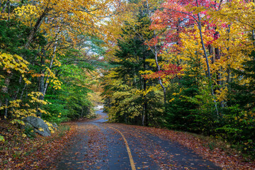 Autumn  colors in Acadia National Park - Echo Lake Beach Road - Maine