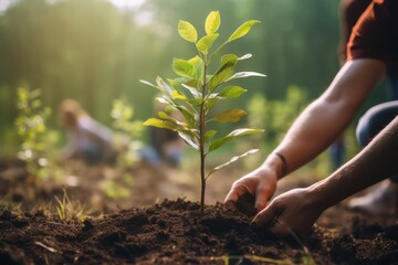 Fototapeta premium Man's hand planting a new tree in dirt in an urban park, created by Generative AI