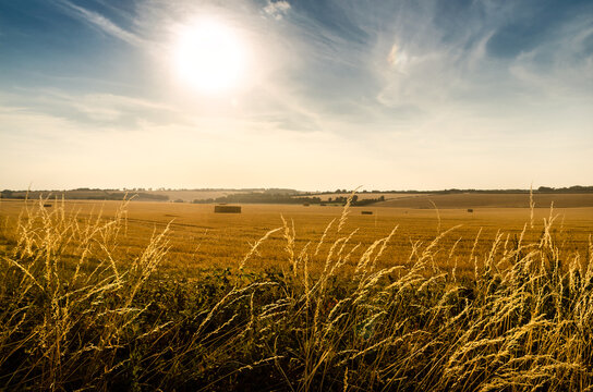 Summer in Wiltshire