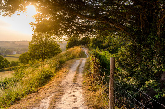 Countryside Path in Wiltshire