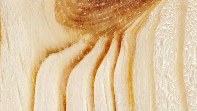 Wooden surface, close-up structure processed with traces of knots, rotating, turning, close-up, looped video
