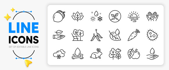 Weather, Sunrise and Leaf line icons set for app include Water splash, Acorn, Deckchair outline thin icon. Animal tested, Organic tested, Snow weather pictogram icon. Bacteria, Leaf dew. Vector