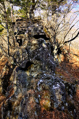 道志山塊の御正体山　抱付岩
