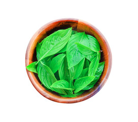 Sweet basil leaves fresh in a bowl, Isolated on transparent png