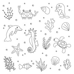 Set of different sea or ocean animals, seashells and seaweeds, vector outline for coloring book