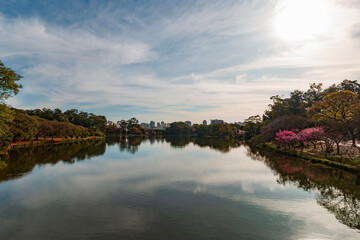 Fototapeta na wymiar Sao Paulo landscape viewed from a lake in a sunny day