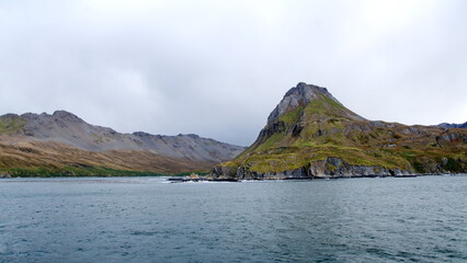 Rugged hill on a lush, green coastline at Ocean Harbor, South Georgia Island