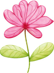 autumn leaves and flowers colorful foliage, vibrant beautiful leaf with hand drawn
