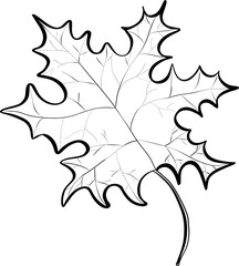 autumn leaves and flowers colorful foliage, vibrant beautiful leaf with hand drawn