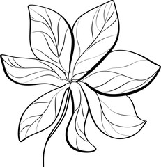 autumn leaves and flowers colorful foliage, vibrant beautiful leaf with hand drawn