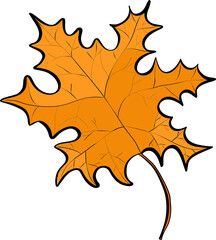 autumn leaves and flowers colorful foliage, vibrant beautiful leaf with hand drawn