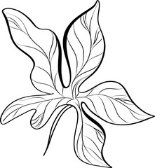 autumn leaves and flowers colorful foliage, vibrant beautiful leaf with hand drawn