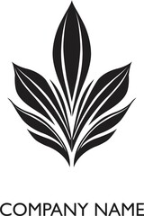 A Logo of Growing Leave Vector